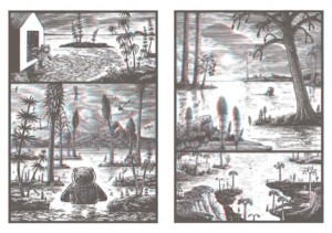 Jim Curious and the Jungle Journey: A 3 D Voyage into the Jungleby: Matthias Picard