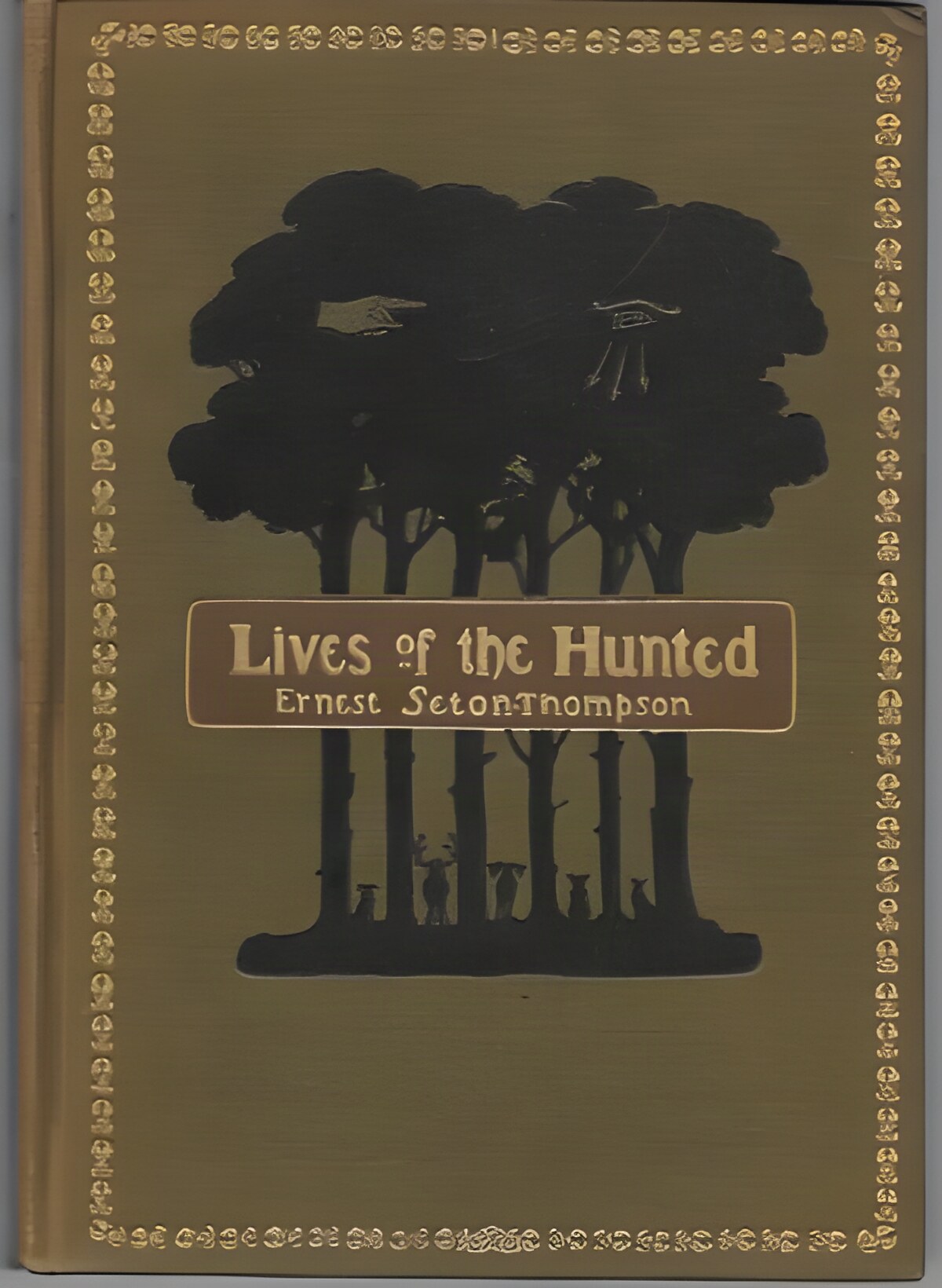 Lives of the Huntedby: Seton-Thompson, Ernest