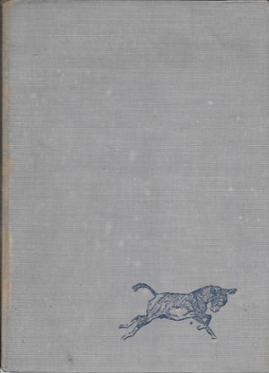 Lost Birthday Present, The by: Wyndham/Paul Brown, Lee 