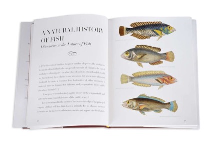 Lost Fish: Anthologies of the Work of the Comte De Lacepedeby: Elizabeth Kolbert (Introduction)