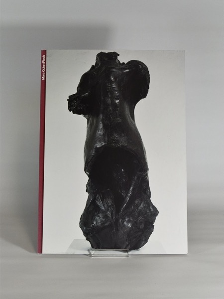 Marc Quinn: Flesh - Irish Museum of Modern Art 1 July - 12 September 2004by: Orbach, Susie; Leader, Darian; Thomas, Rachael
