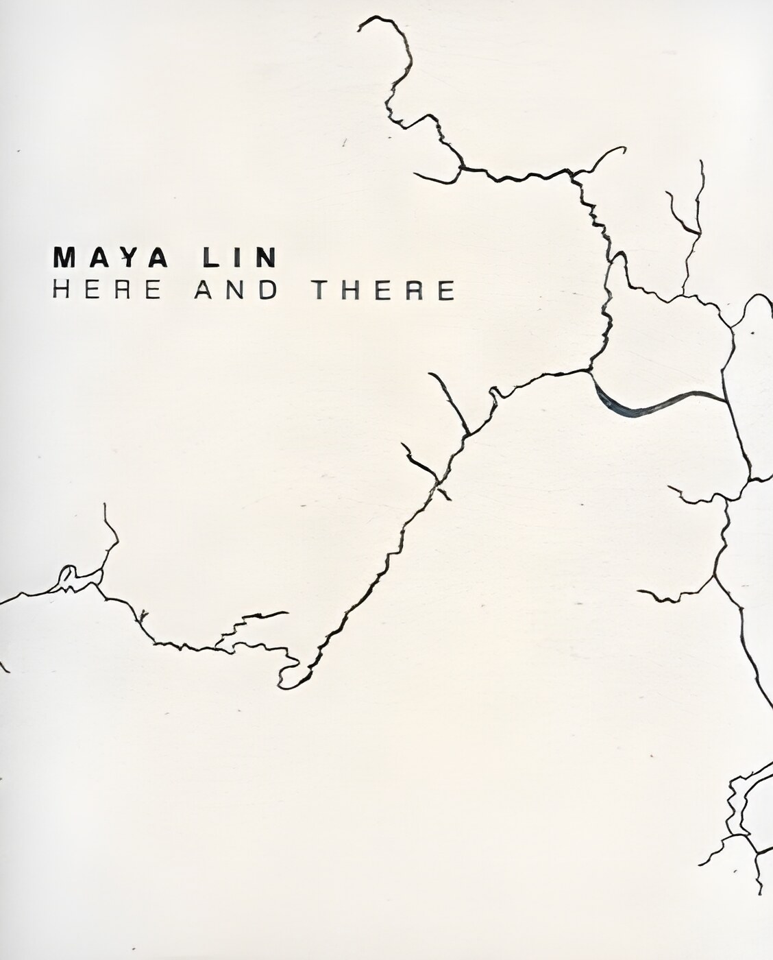 Maya Lin: Here and Thereby: Lin Maya; William L Fox; Robert Storr 