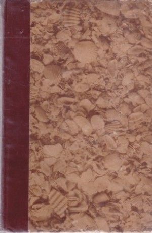 Old Saint Augustine - A Story of Three Centuriesby: Charles B. Reynolds