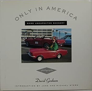 Only In America: Some Unexpected Sceneryby: Graham, David