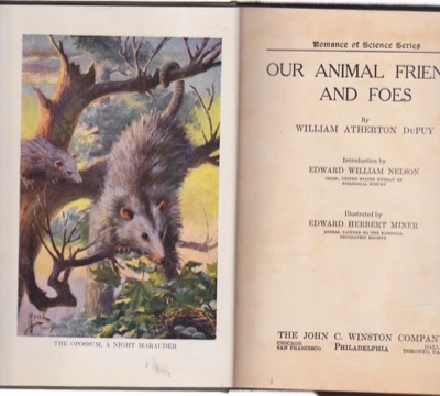 Our Animal Friends and Foesby: William Atherton Dupuy