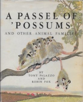 Passel of 'Possums and Other Animal Familiesby: Palazzo, Tony and Robin Fox