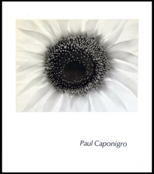 Paul Caponigro by: Paul Caponigro