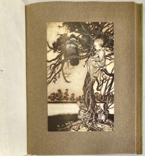Peter Pan in Kensington Gardensby: Arthur Rackham (Illustrator), J.M. Barrie