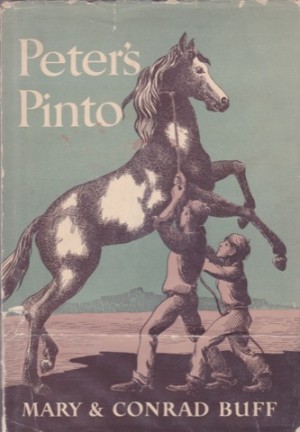 Peter's Pinto: A Story of Utah by: Bluff, Mary & Conrad