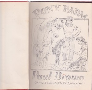 Pony Farmby: Paul Brown