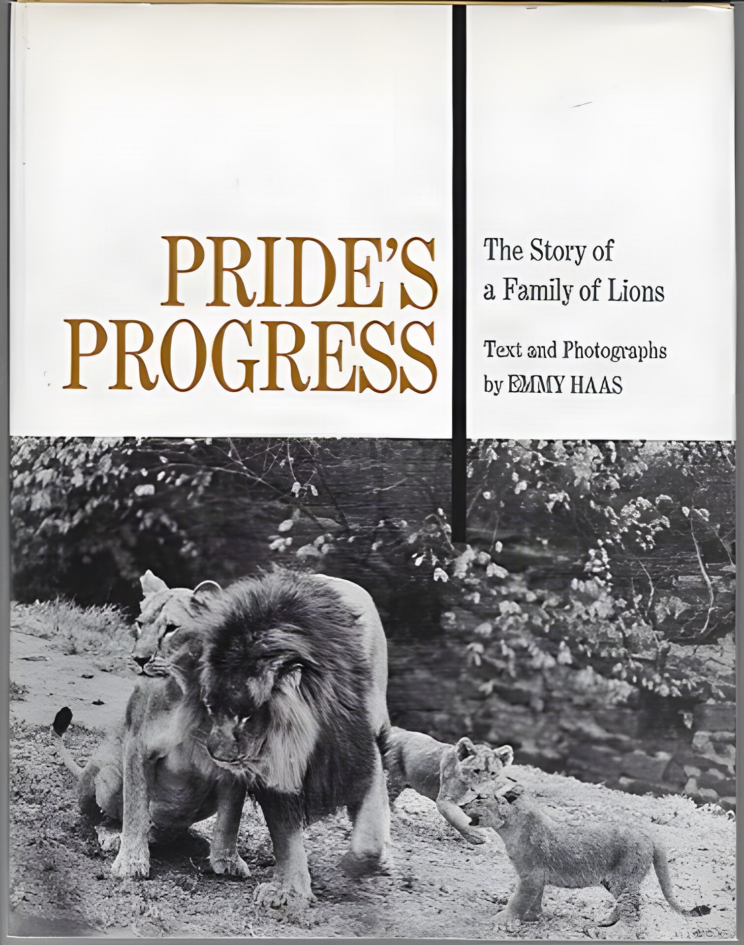 Pride's Progress - The Story of a Family of Lionsby: Haas, Emmy