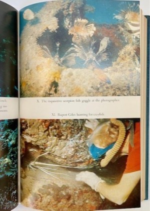 Reefs of Taprobane, The: Underwater Adventures Around Ceylonby: Clarke, Arthur C.