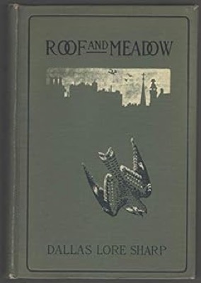 Roof and Meadow by: Dallas Lore Sharp