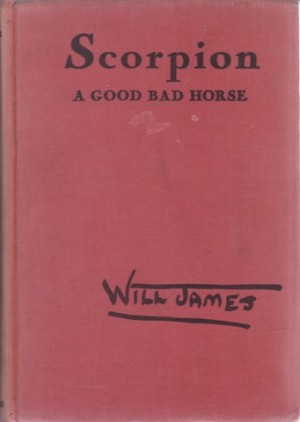 Scorpion: A Good Bad Horseby: James, Will 