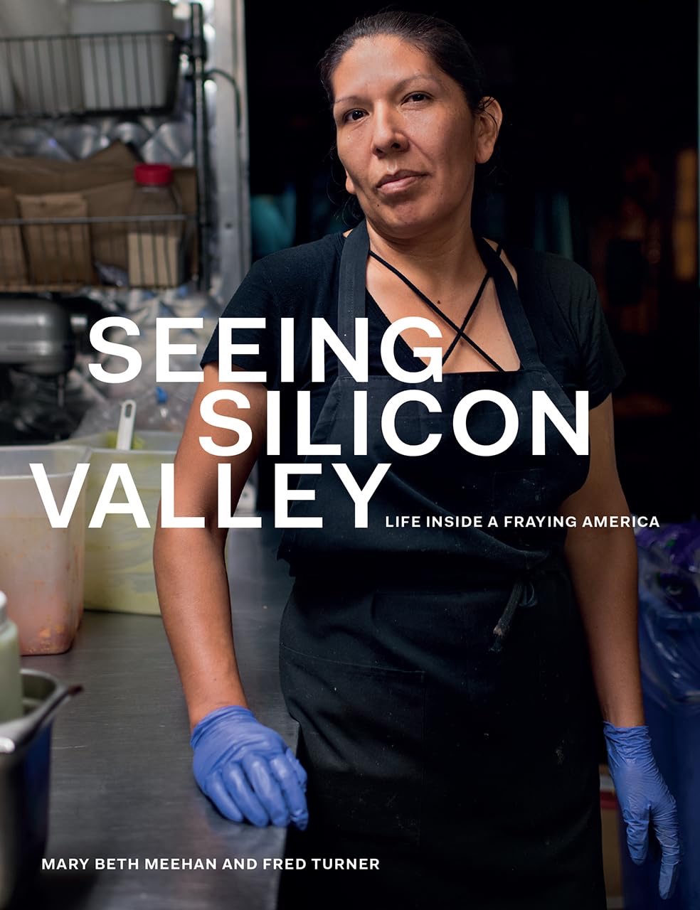 Seeing Silicon Valley: Life inside a Fraying America by: Mary Beth Meehan / Fred Turner 