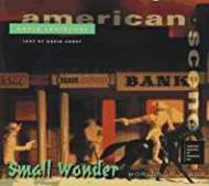 Small Wonder: Worlds in a Boxby: Levinthal, David