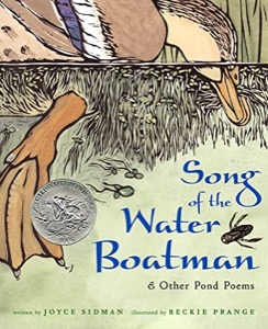 Song of the Water Boatman and Other Pond Poems by: Joyce Sidman/ Beckie Prange Illustrator