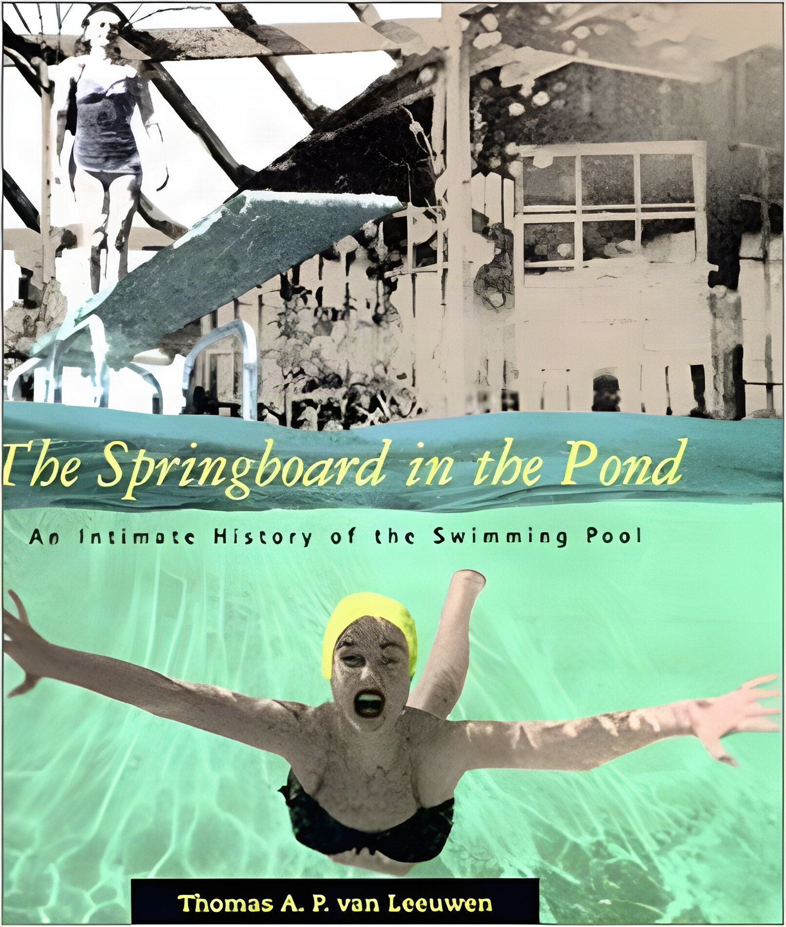 Springboard in the Pool, The: An Intimate History of the Swimming Poolby: Van Leeuwen, Thomas A. P.