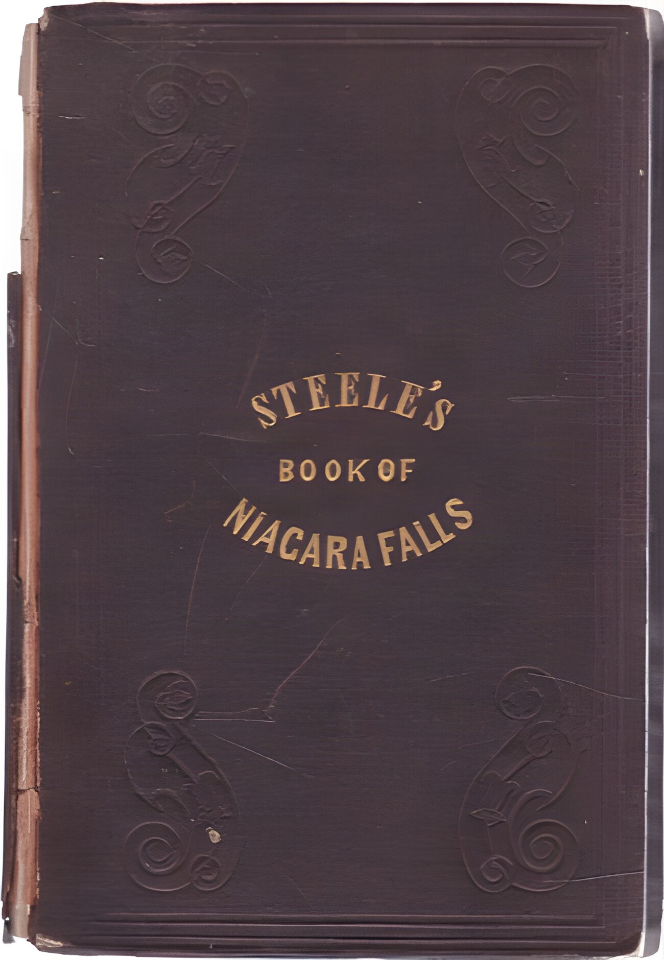 Steele's Book of Niagara Falls by: Steele, G. Oliver