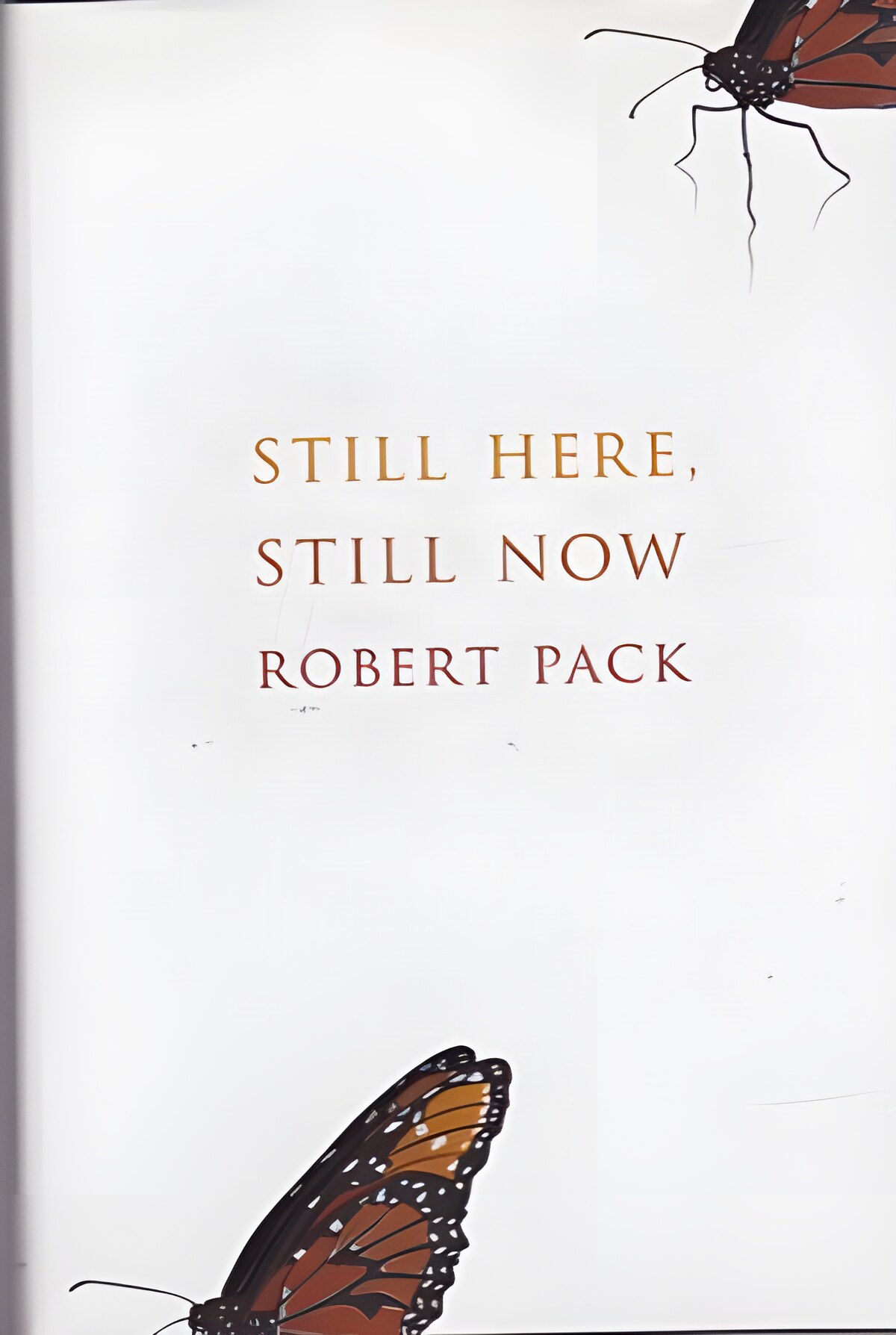 Still Here, Still Now by: Pack, Robert