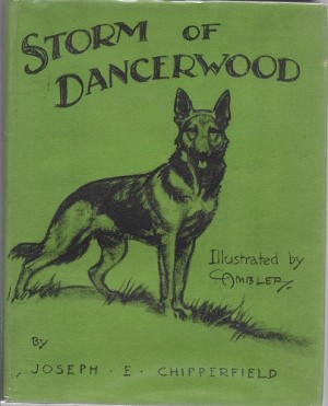 Storm of Dancerwoodby: Chipperfield, Joseph E.