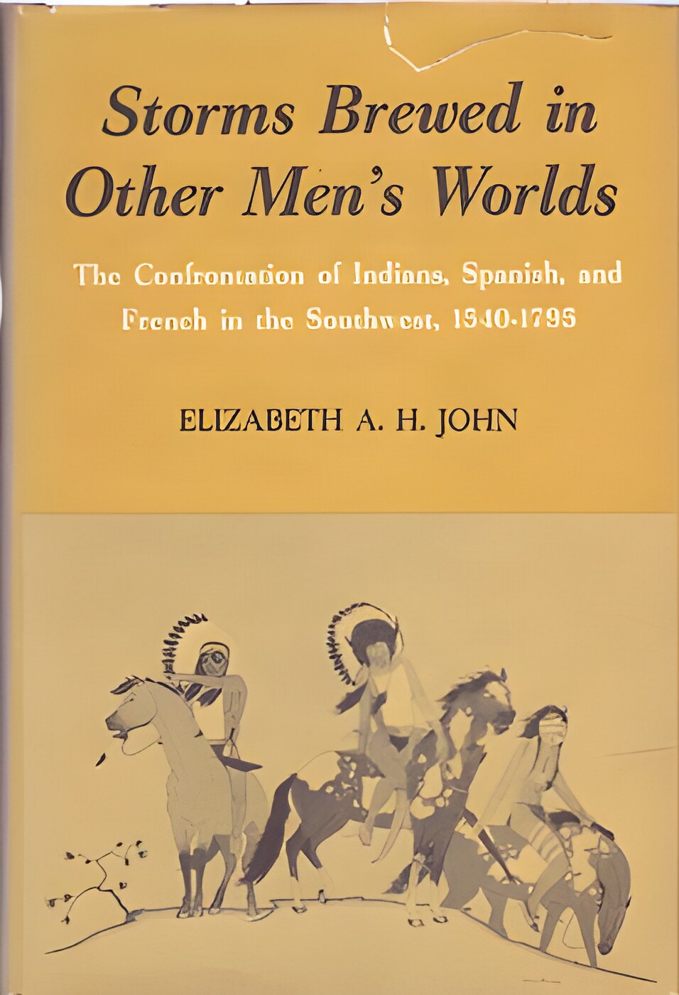Storms Brewed in Other Men's Worldsby: Elizabeth A.H. John 