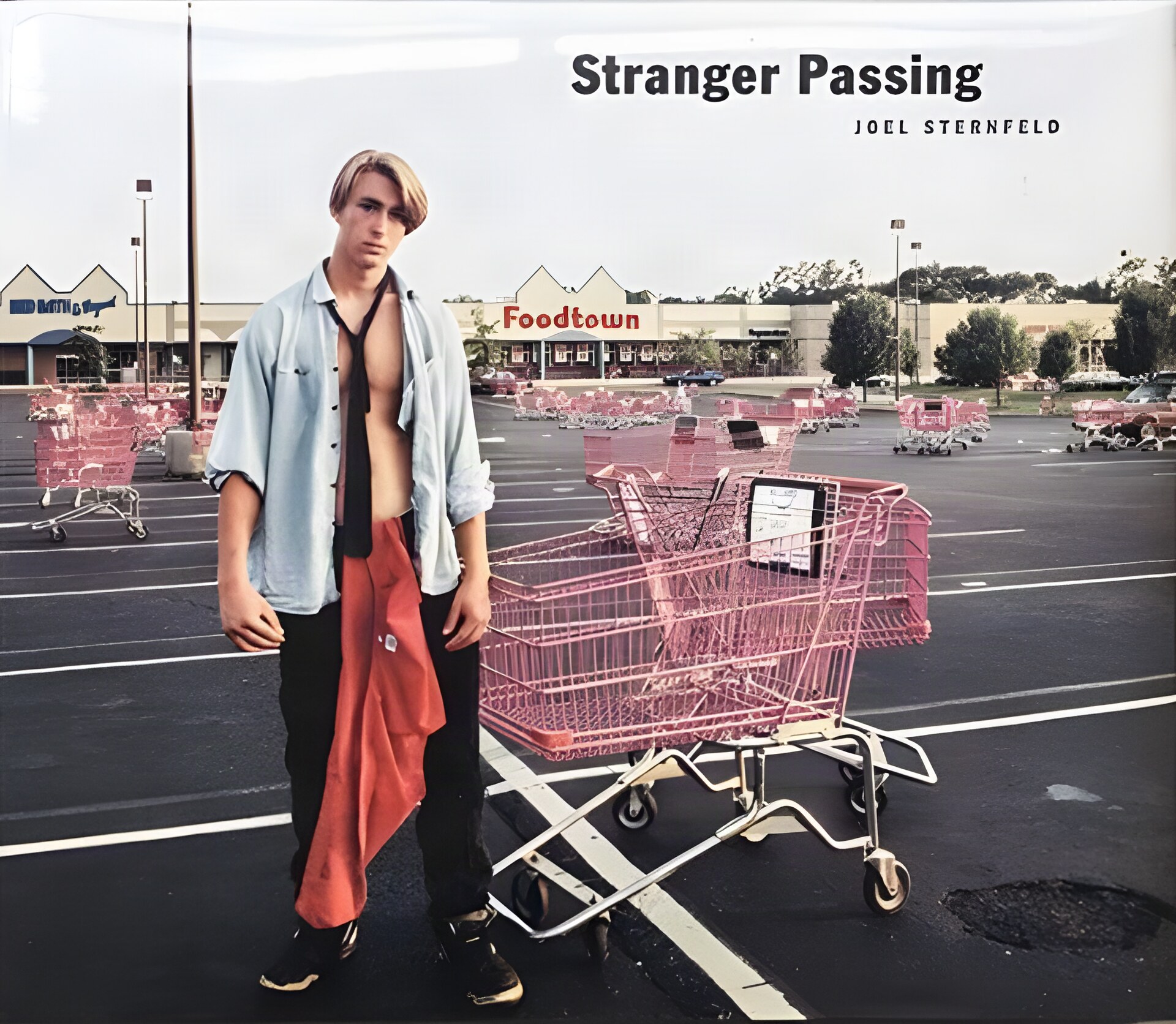 Stranger Passing by: Sternfeld, Joel 