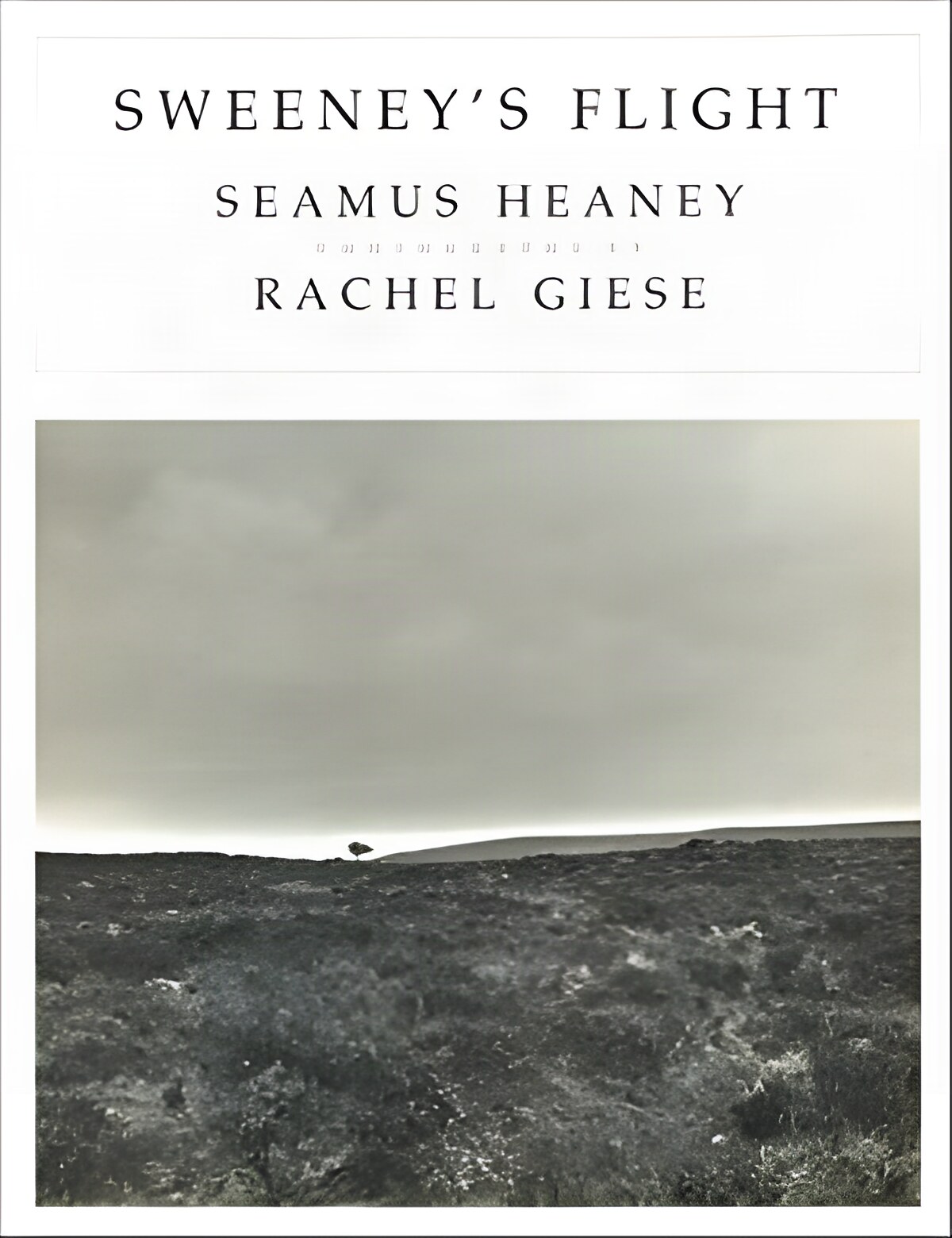 Sweeney's Flight; With The Complete Revised Text Of "Sweeney Astray" (SIGNED BY HEANEY)by: Heaney, Seamus With Photographs By Rachel Giese