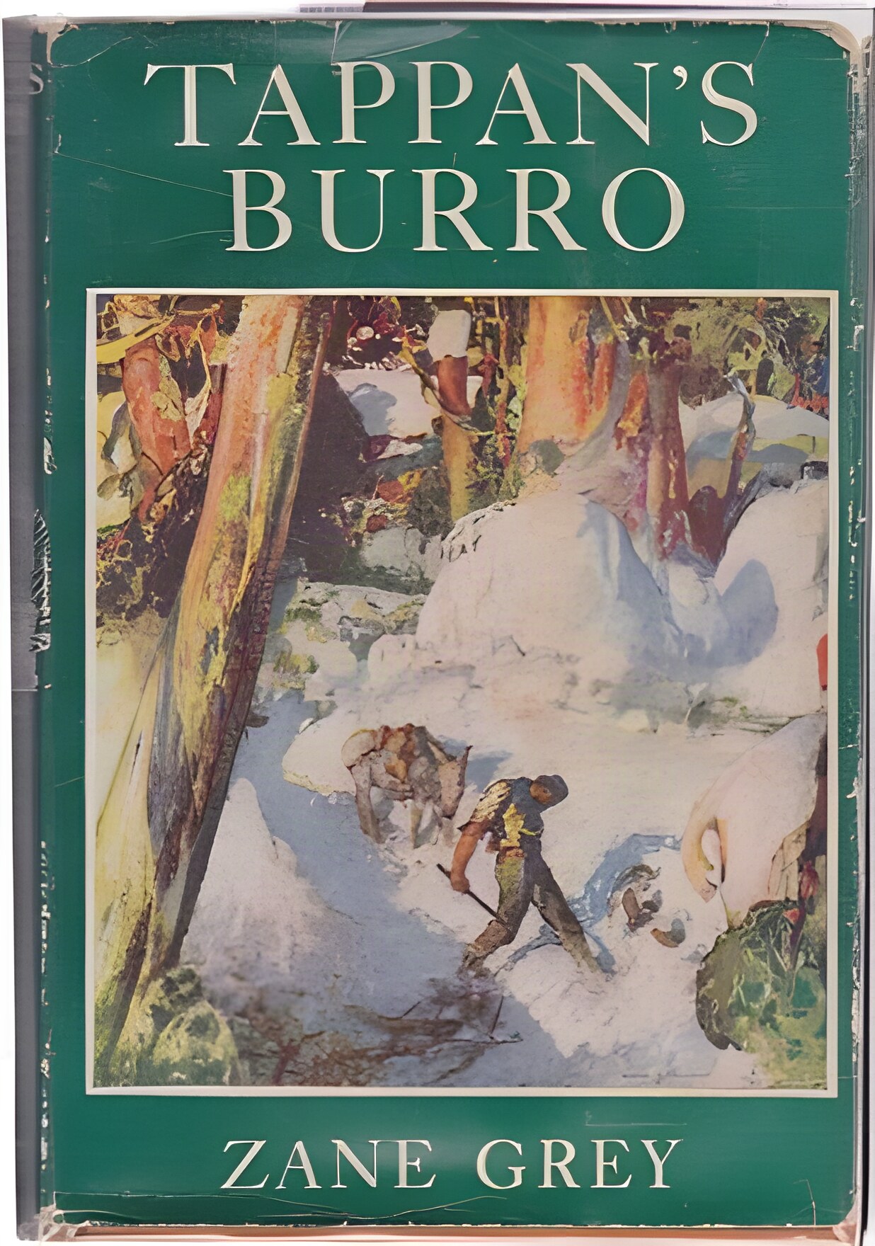 Tappan's Burro and Other Storiesby: Zane Grey