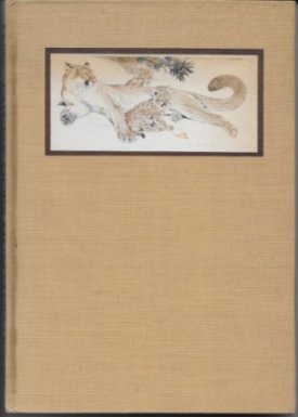 Tawny Goes Huntingby: Chaffee/Paul Bransom, Allen 