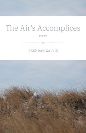 The Air's Accomplices: Poems (INSCRIBED COPY)by: Brendan Galvin