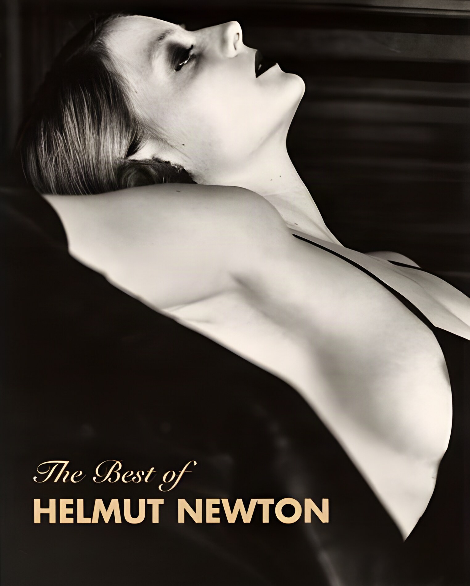 The Best of Helmut Newtonby: Felix; Zdenek. and Smolik, Noemi and Stahel, Urs (Ed.)