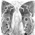 The Drawings of Edwin Austin Abbeyby: Alice Carter and John Fleskes