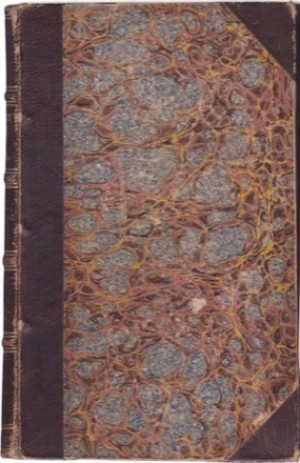 The First Settlers of Virginia, an Historical Novel, Exhibiting a View of the Rise and Progress of the Colony at James Town...by: [Davis, John (1774-1854)]