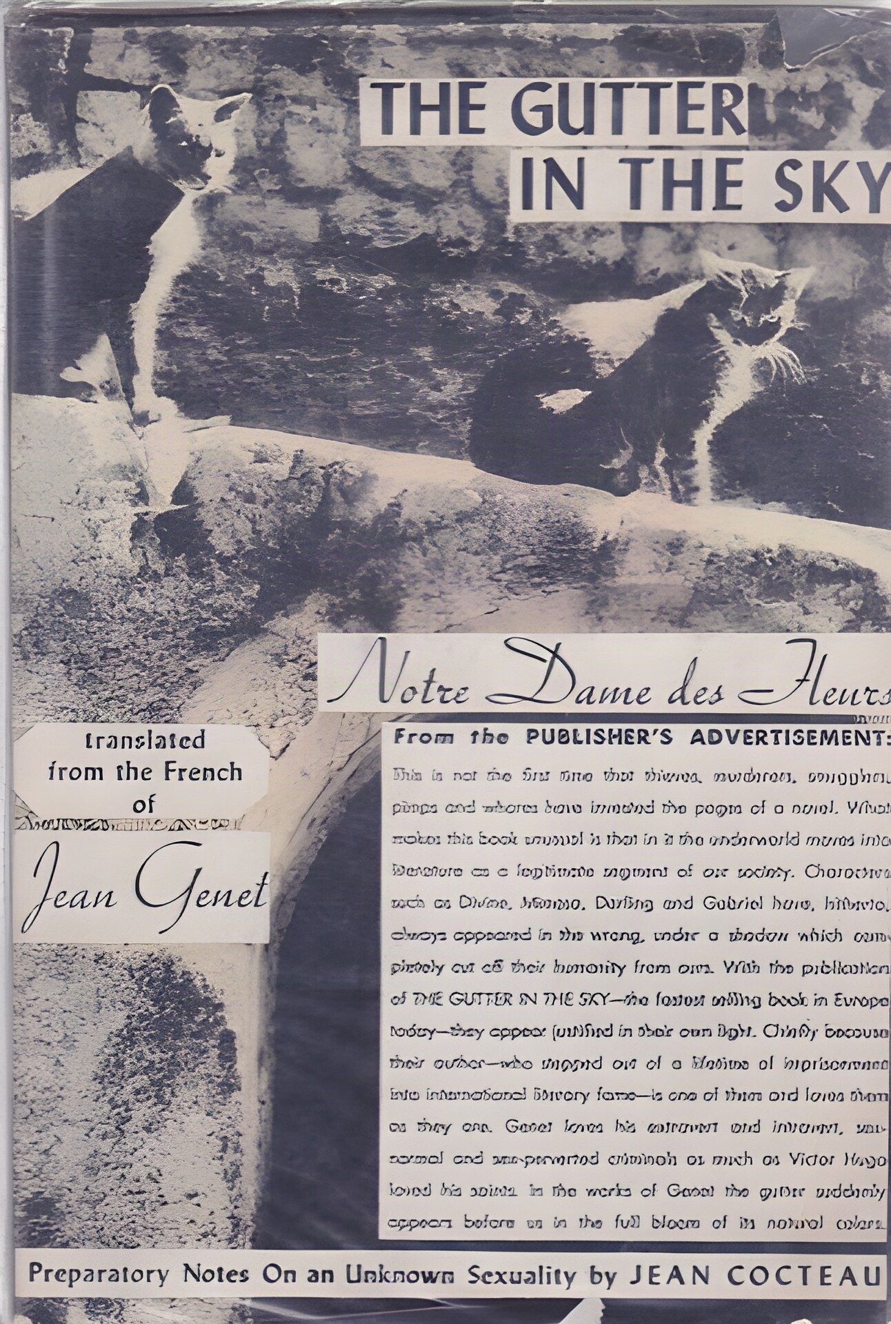 The Gutter in the Skyby: Jean Genet