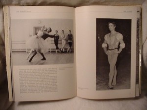 The Nureyev Image by: Bland, Alexander
