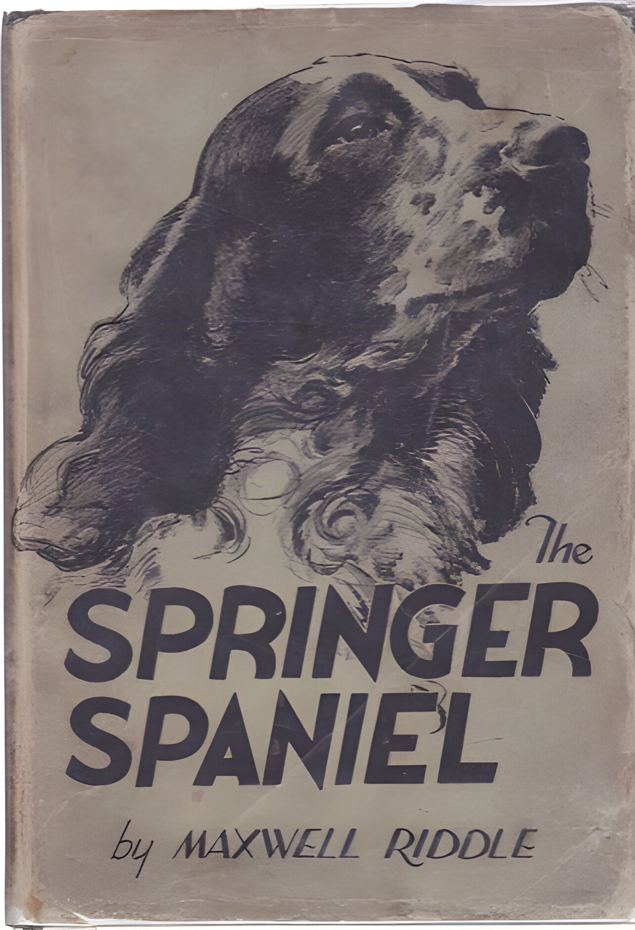 The Springer Spanielby: Riddle, Maxwell