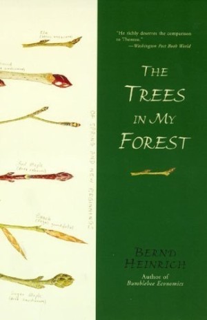 The Trees in My Forestby: Bernd Heinrich