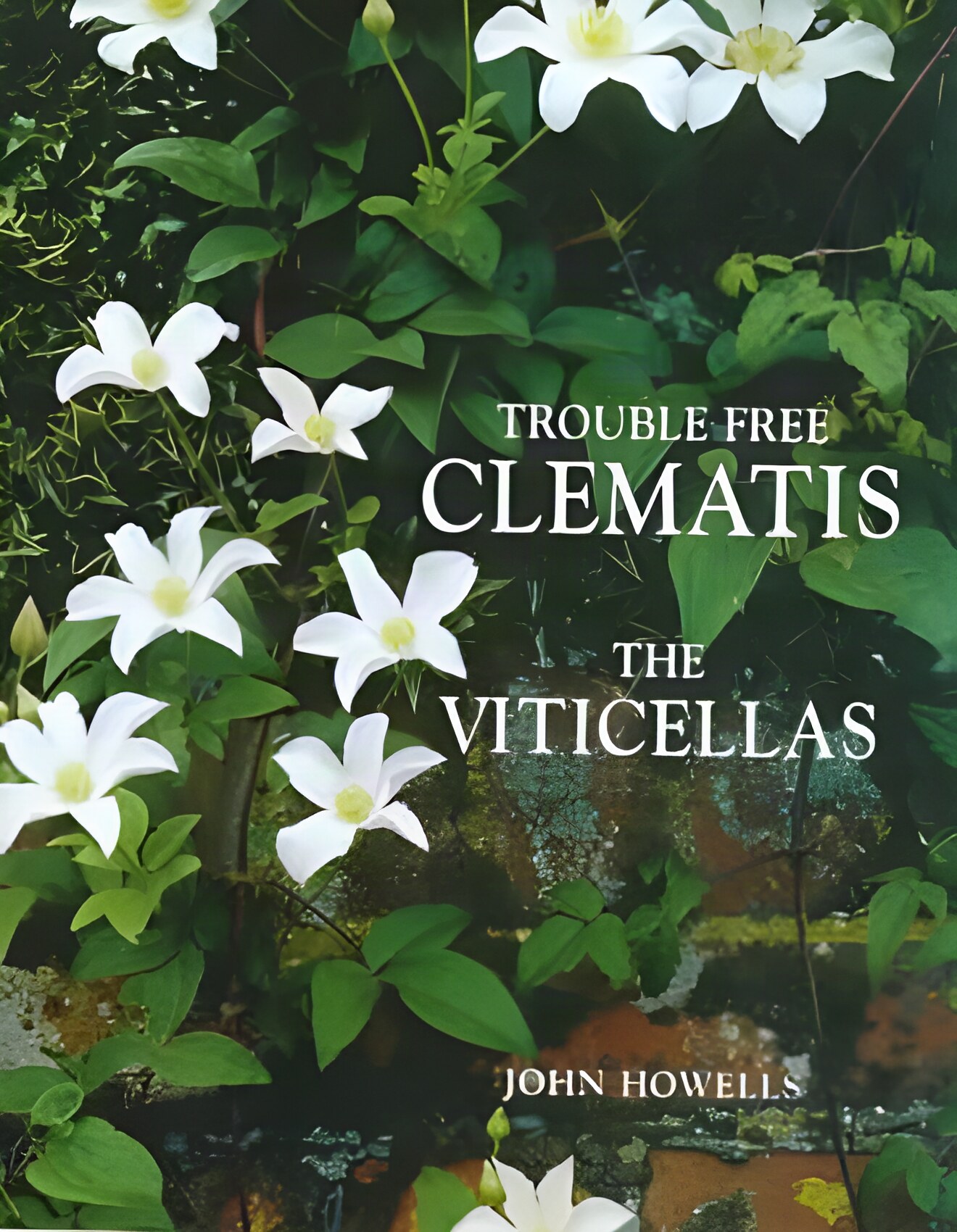 Trouble Free Clematis: The Viticellas by: Howells, John