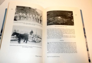 Village in the Hills: A History of Danville, Vermont, 1786-1995 by: Susannah Clifford 