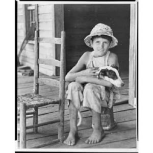 Walker Evans: Starting from Scratchby: Svetlana Alpers