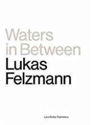 Waters In Between: An Archive of a Marsh with Marginalia by Angelus Silesius and John Bergerby: Felzmann, Lukas
