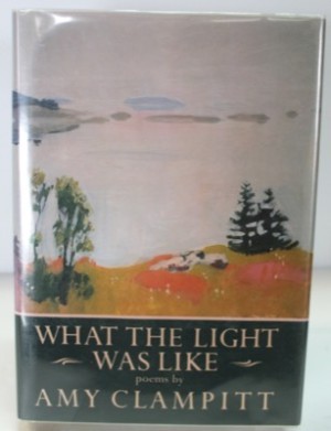 What The Light was Likeby: Clampitt, Amy