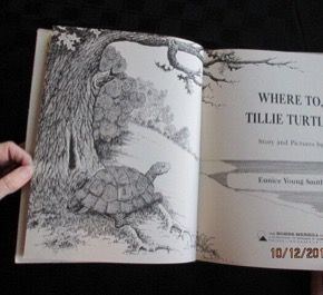Where To, Tillie Turtle? by: Eunice Young Smith