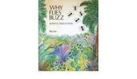 Why Flies Buzzby: Troughton, Joanna