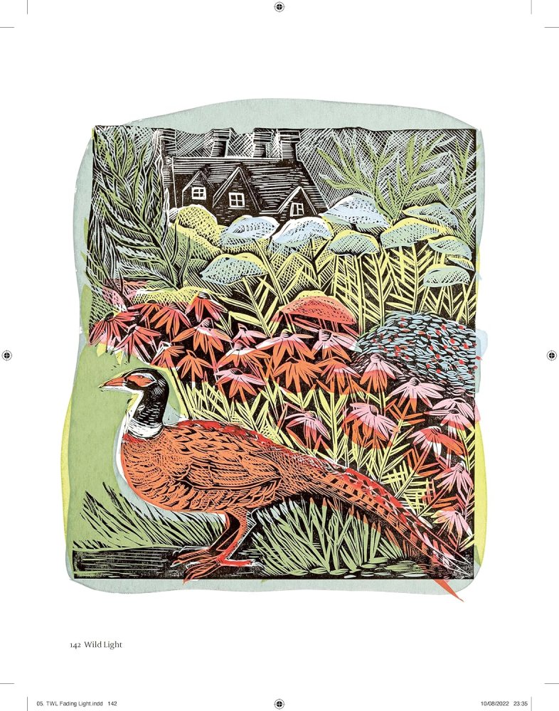 Wild Light: A Printmaker's Day and Nightby: Angela Harding