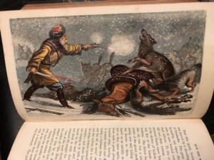 Wild Sports of the World: a Boy's Book of Natural History and Adventureby: Greenwood, James