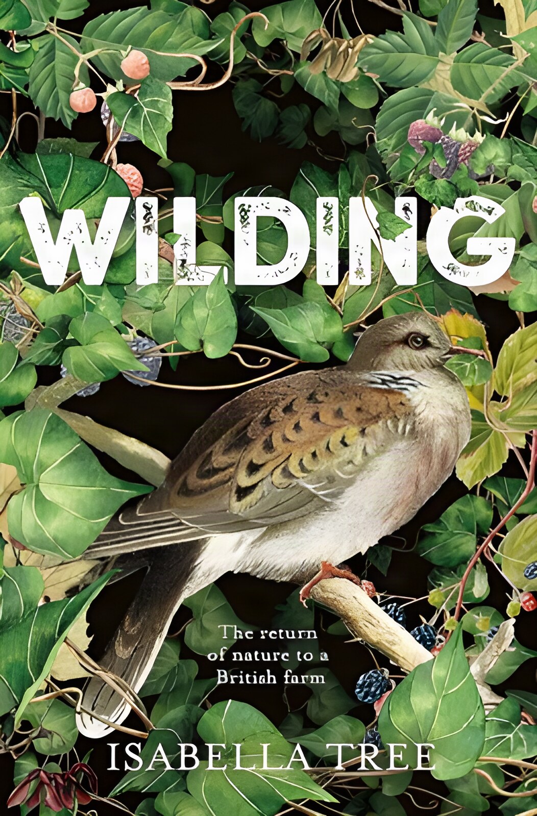 Wilding: The Return of Nature to a British Farmby: Isabella Tree
