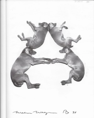 William Wegman ABC (SIGNED COPY)by: Wegman, William