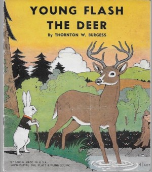 Young Flash the Deerby: Burgess, Thortnton W.